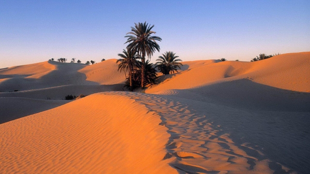 Unveiling the Mysteries of the Sahara: A Journey Through Endless Sands