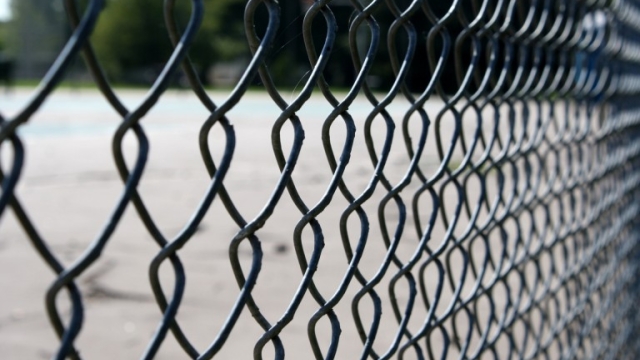 Unlocking Freedom: The Power of Portable Fences