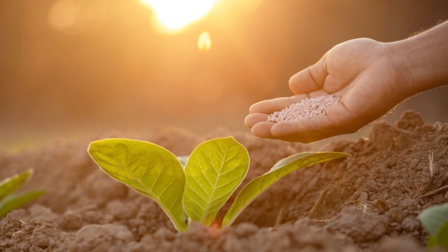 Growing Green: Harnessing the Power of Organic Fertilizers