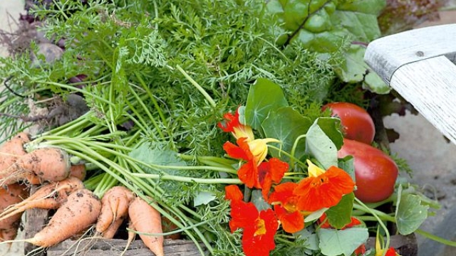 Harvesting the Benefits: Exploring the World of Organic Gardening