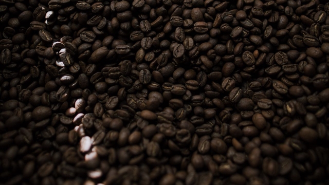 Brewing Excellence: Unveiling the World of Organic Coffee Beans