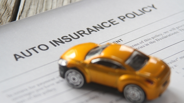 Insure Your Future: A Guide to Choosing the Right Insurance Agency
