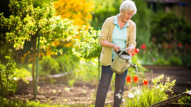 Green Thumb Essentials: Unleash Your Inner Gardening Guru