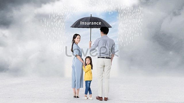 Navigating the Insurance Maze: A Comprehensive Guide