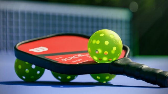 Unleashing the Fun: Dive into the World of Pickleball!